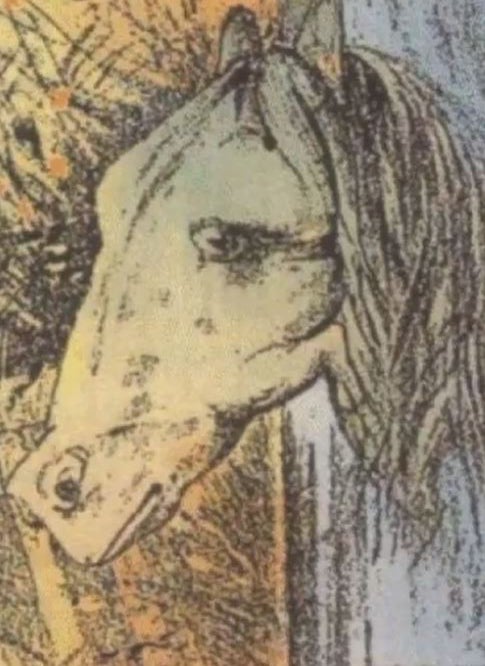 Welche zwei Tiere sind in diesem Bild?