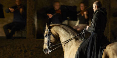 Teures Pferd bei Unfall schwer verletzt