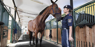 Berittene Polizei: &Ouml;sterreichische Exekutive wieder pferdelos