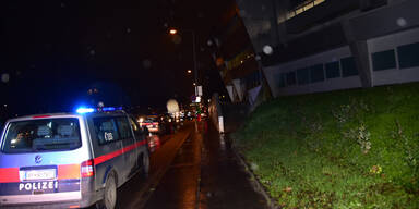 Pferd geht es nach Unfall wieder gut