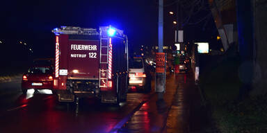 Pferd geht es nach Unfall wieder gut