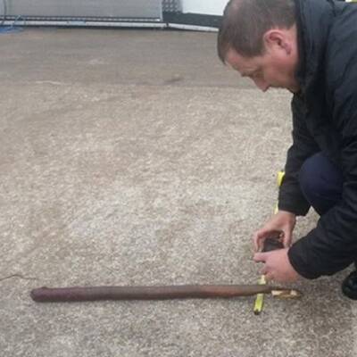 Brutaler Tierquäler pfählt Pferd