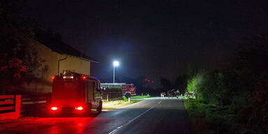 Pferde-Familie hielt Feuerwehr auf Trab