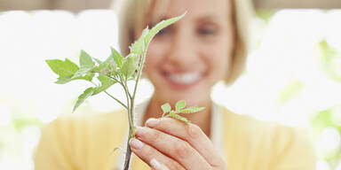 Pflanzen streicheln sorgt f&uuml;r Stressabbau