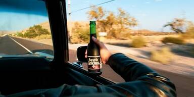 Betrunkene Lenkerin und Beifahrer in G&ouml;tzendorf schwer verletzt