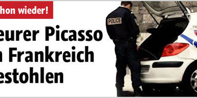 Wertvoller Picasso in Frankreich gestohlen