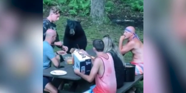 picknick.png