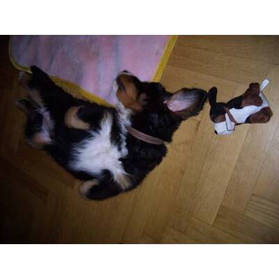 Die neuesten Urlaubsfotos