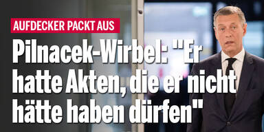 Pilnacek-Wirbel: 