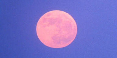 Pink Moon