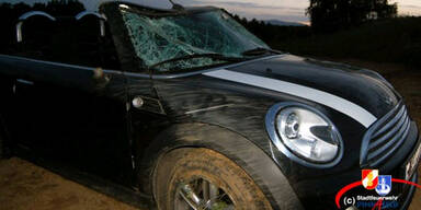 Mit Cabrio überschlagen - Frau schwer verletzt