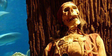 Piraten-Schatzschiff vor Tonga entdeckt