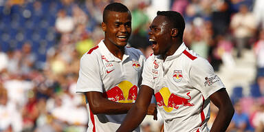 N&auml;chster Bullenstar nach Deutschland