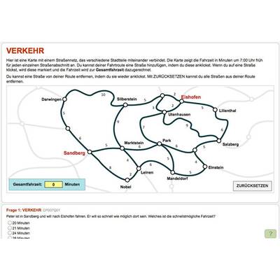 Pisa-Beispielaufgaben