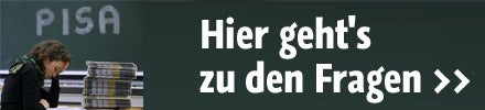Pisa-Absturz für Österreich