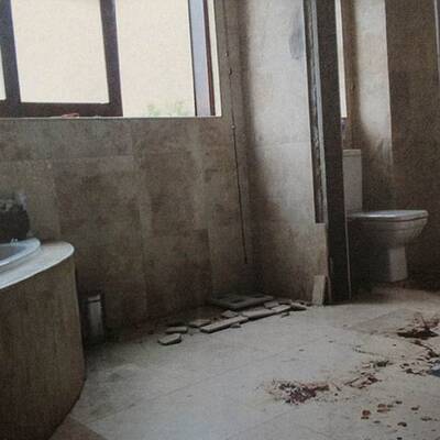 Pistorius: Fotos zeigen blutigen Tatort