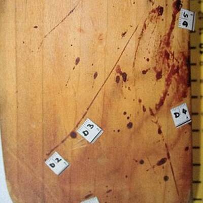 Pistorius: Fotos zeigen blutigen Tatort