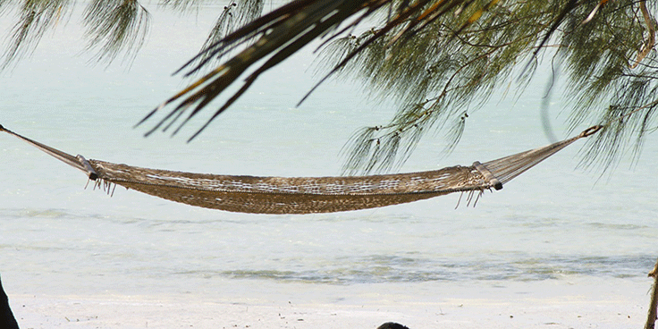 Workation: Arbeit und Urlaub verbinden