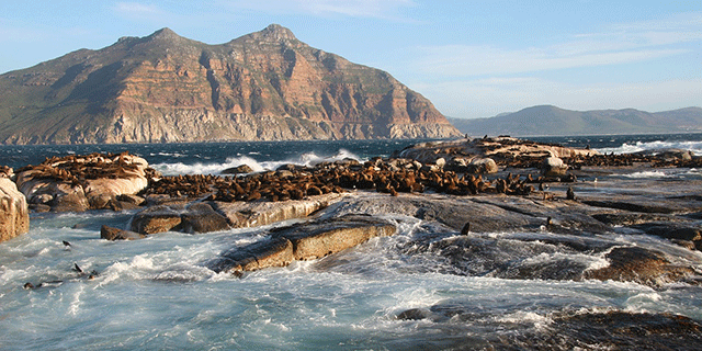 Workation: Arbeit und Urlaub verbinden