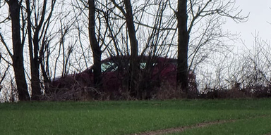 pkw wald mutter t&ouml;tet kind.png