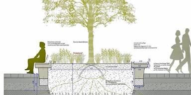 Der Plan f&uuml;r die Begr&uuml;nung und Sitzgelegenheiten.
