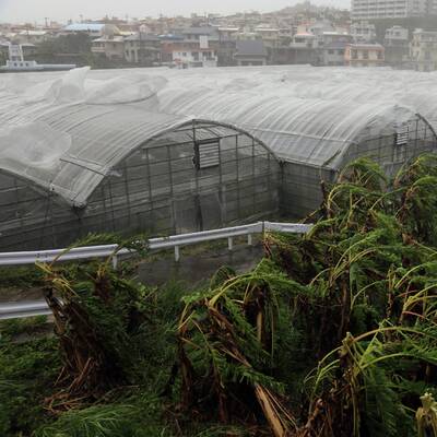 So wütet Taifun Neoguri