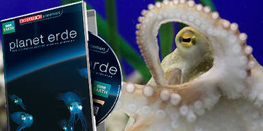 &Ouml;STERREICH-DVD: Unser Planet Erde