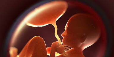 Deshalb essen M&uuml;tter ihre Plazenta