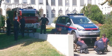 Pokémon-Cops sind Internet-Hit