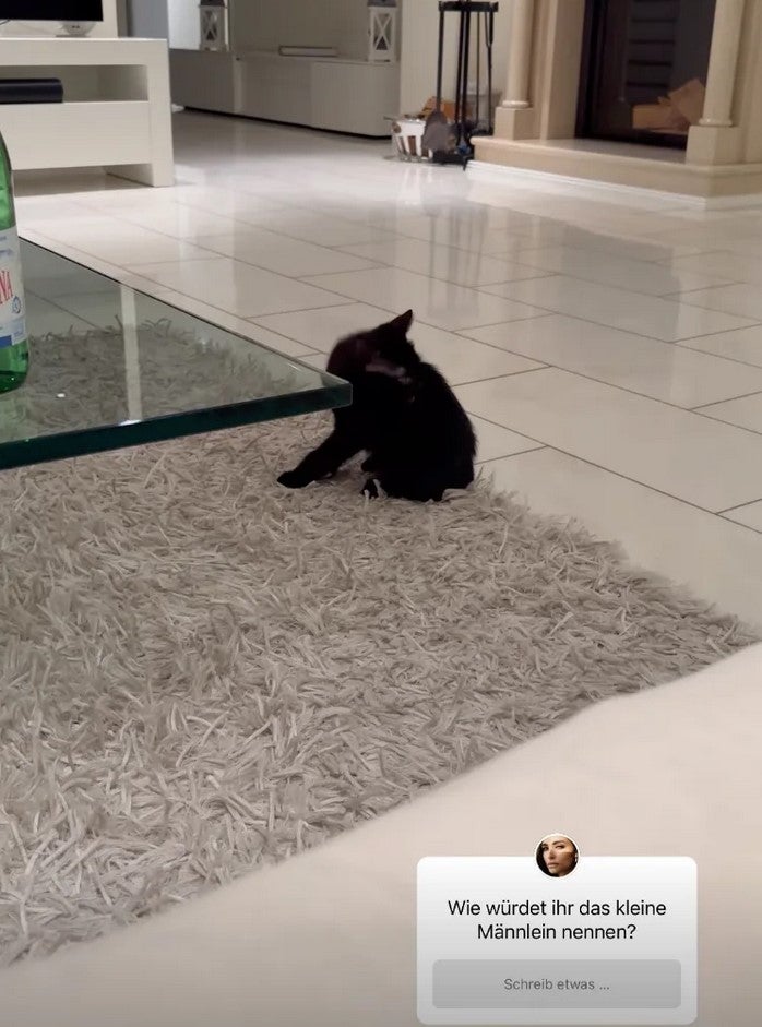 Ehe-Aus bei Pochers: Amira ist ausgezogen!