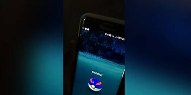 pokemon_wtf_thump.jpg