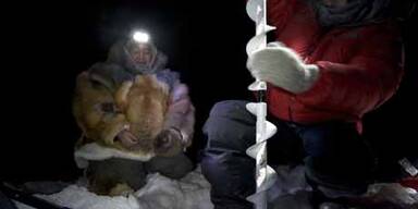 Polarforscher stecken in der Arktis fest