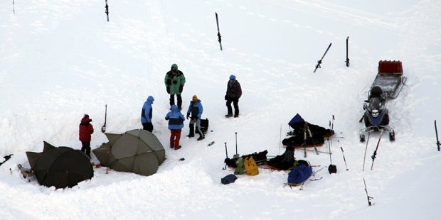 Sonnenfinsternis: Eisbär verletzt Touristen