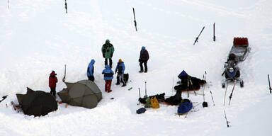 Sonnenfinsternis: Eisbär verletzt Touristen