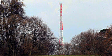 Polen baut Wacht&uuml;rme an Grenze