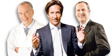 Die Wunsch-Regierung der Österreicher