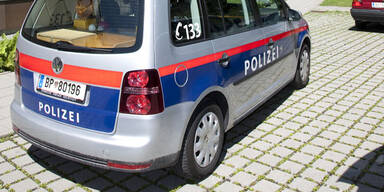 Polizei hebt IT-Bande aus