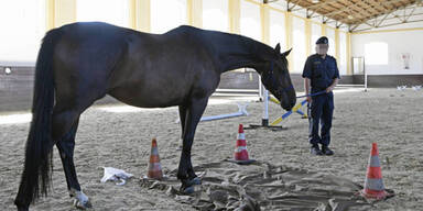 Wirbel um Ehrung f&uuml;r berittene Polizei