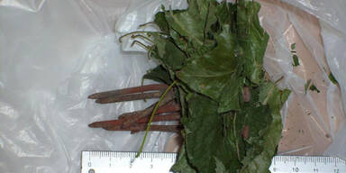 Kinderhasser legt Nagelfalle unter Spielger&uuml;st