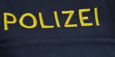 600.000 Euro Schaden durch gef&auml;lschte FinanzOnline-Nachrichten