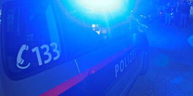 polizei_440