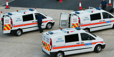 24 Sklavenarbeiter bei London befreit