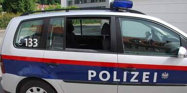 polizeiauto6