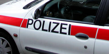 polizeiauto_APA