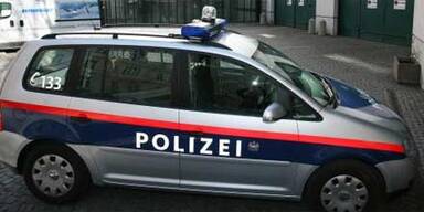 polizeiauto_neu