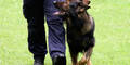 Wien schickt Securitys mit Hunden in U6