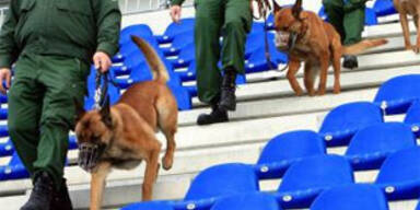 polizeihund