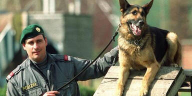 polizeihund