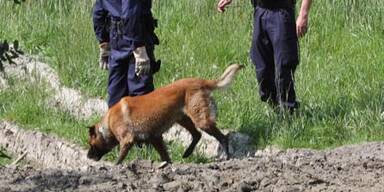 polizeihund_fally