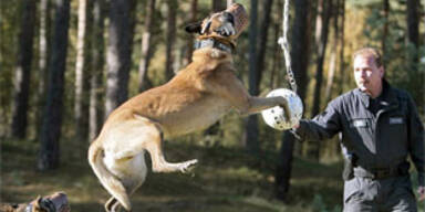 polizeihundeschule_hh_apa